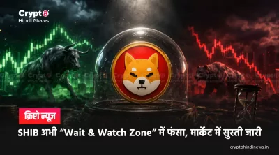 Shiba Inu News