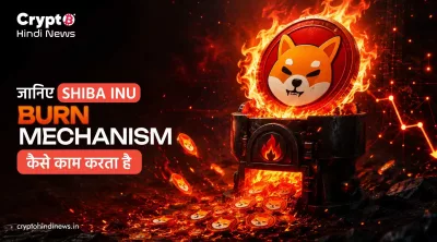SHIB Burn Rate के प्रतिशत और कुल supply की तुलना का चार्ट