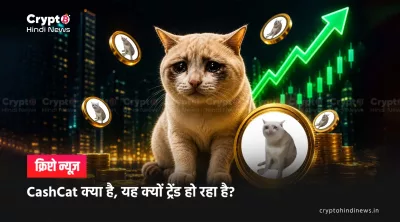 what is cashcat why it is trending