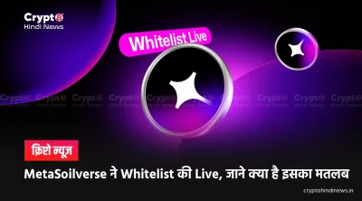 MetaSoilVerse Whitelist Live: MSVP लॉन्च से पहले क्या जानें