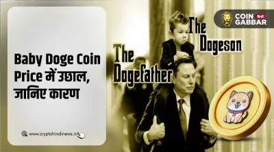 Baby Doge Coin Price में उछाल के पीछे Elon Musk का था हाथ