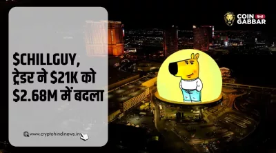 Chill Guy Meme Coin ने 4 दिन में $21K को बनाया $2.68M
