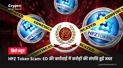 HPZ Token Scam के ढाँचे और जाँच की स्थिति का चार्ट