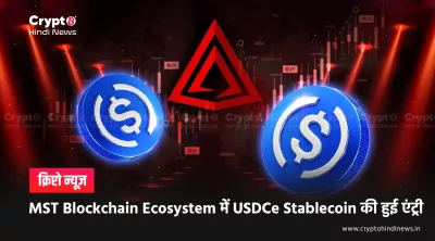 MST Ecosystem
