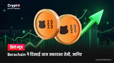 Bera Coin Price