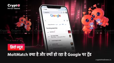 What is MoltMatch How Does It Work: पूरी जानकारी हिंदी यहां