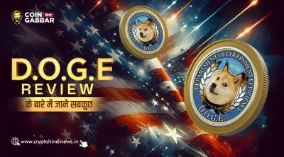 DOGE Project Review