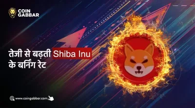 कीमतों में उछाल के संकेत देती है SHIB की बर्न रेट में वृद्धि