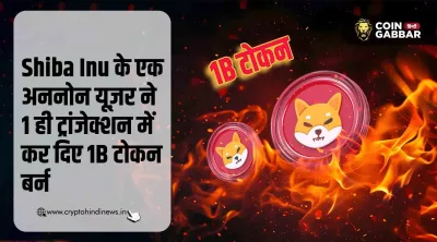 Shiba Inu Burn Rate बढ़ी