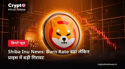Shiba Inu News: Burn Rate बढ़ा लेकिन प्राइस में बड़ी गिरावट 