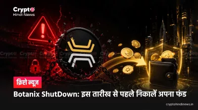 Botanix Bitcoin Layer 2 Shut Down