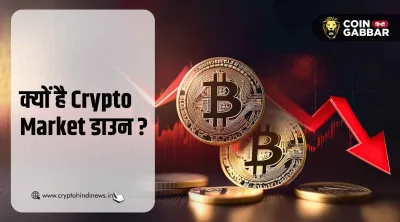 क्यों है Crypto Market Down