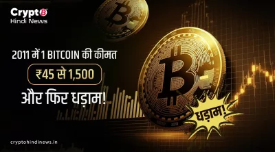 Bitcoin 2011 Journey: साल भर में 3000% उछाल और बड़ा क्रैश