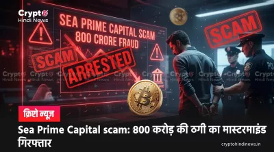 Sea Prime Capital Arrest की जाँच और वसूली प्रक्रिया का चार्ट