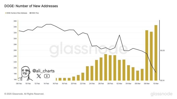 Dogecoin Price Prediction: क्या DOGE की कीमत $1 तक बढ़ेगी