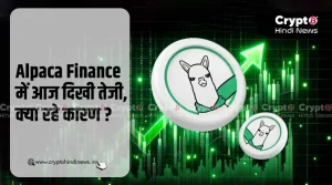 Alpaca Finance में आज दिख रही है तेजी, क्या है इसके कारण?