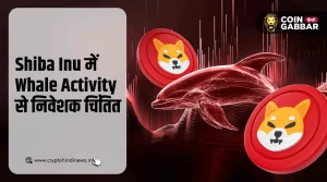 Shiba Inu में Whale Activity ने बढ़ाई निवेशकों की चिंता