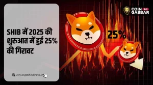 SHIB Price 2025 की शुरुआत में 25% गिरा, पर अब भी है संभावनाए