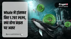 Whale ने ट्रांसफर किए 1.79T PEPE, जानें क्या होगा प्राइस