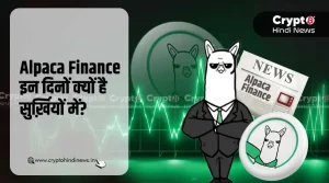 Alpaca Finance क्यों बना हुआ है सुर्ख़ियों में, क्या है कारण?