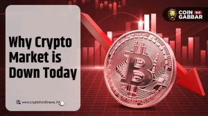 Why Crypto Market is Down Today, भारी गिरावट का दौर जारी