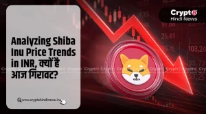 Analysing Shiba Inu Price Trends in INR, आज क्यों है गिरावट?