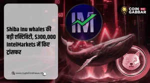 Shiba Inu whales ने $300,000 IntelMarkets में किए ट्रांसफर