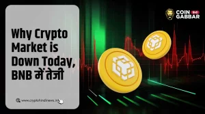 Why Crypto Market is Down Today, BNB की तेजी ने संभाला मार्केट