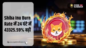 Shiba Inu Burn Rate में 24 घंटे में हुई 43325.59% की वृद्धि