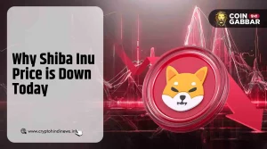 Why Shiba Inu Price is Down Today, जानिए क्या रहे कारण?