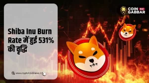 Shiba Inu Burn Rate में पिछले 24 घंटे में हुई 531% की वृद्धि