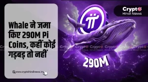 Whale ने जमा किए 290M Pi Coins, कहीं कोई गड़बड़ तो नहीं