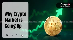 Why Crypto Market is Going Up
