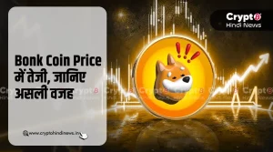 Bonk Coin Price