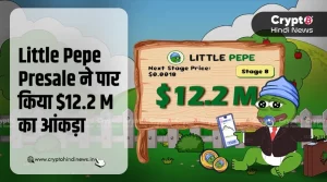 Little Pepe Presale ने $12.2M का बनाया नया रिकॉर्ड