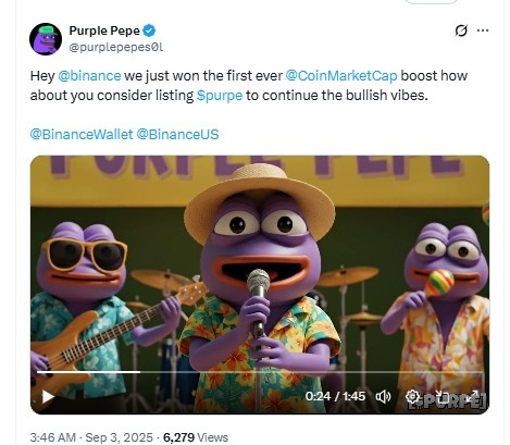 Purple Pepe X Post - Purple Pepe Binance Listing-