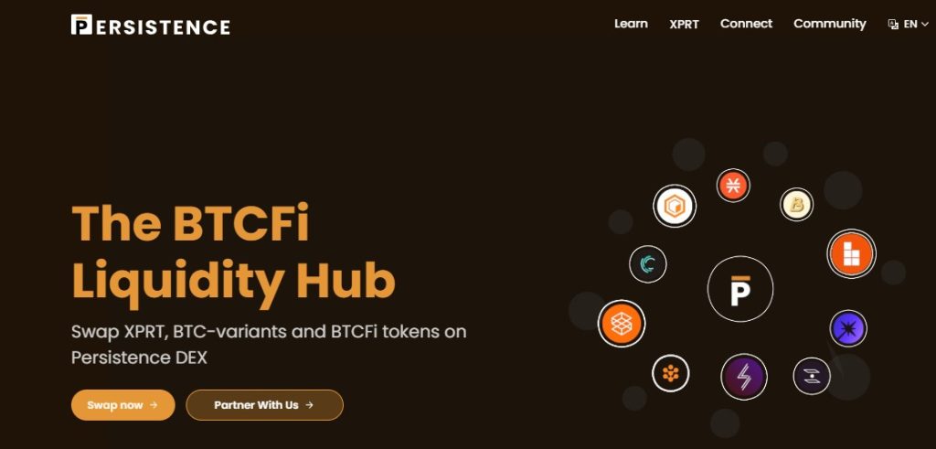 Best Crypto Projects in India- Persistence