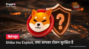 Shiba Inu Exploit