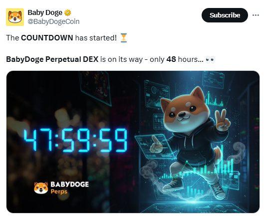 BabyDoge Perpetual DEX, सिर्फ दो दिन बचे फिर होगा लाइव