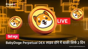 BabyDoge Perpetual DEX