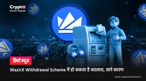 WazirX Withdrawal, Impact of Madras High Court Decision