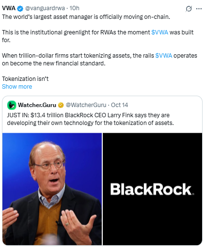 ऑन-चेन दुनिया में BlackRock की एंट्री, VWA Token बना हॉट टॉपिक