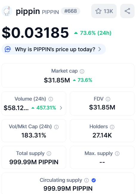 Best Crypto to Invest