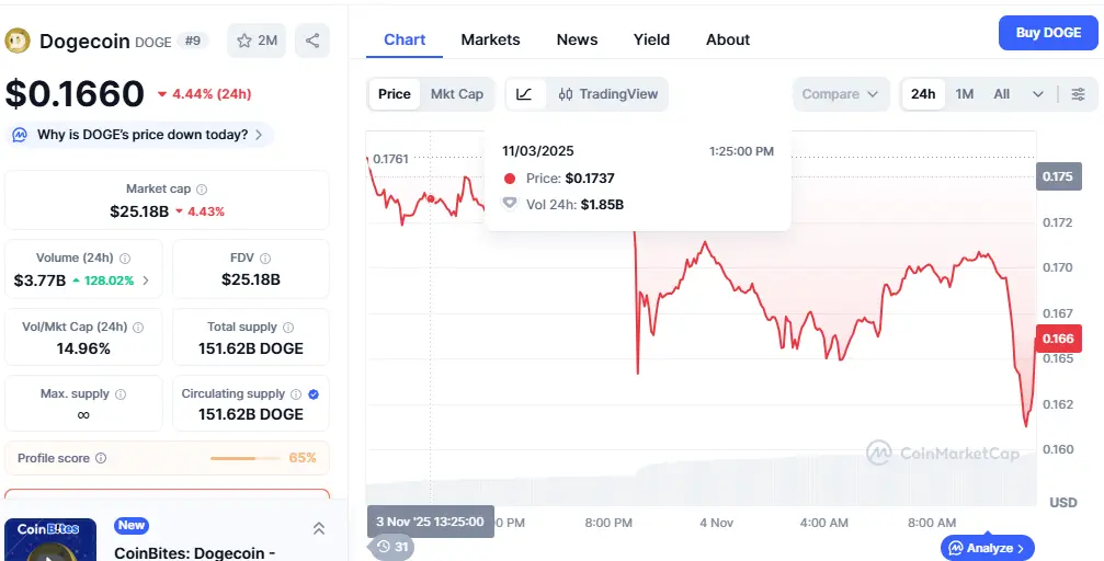Dogecoin Price Crash 