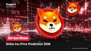 Shiba Inu Coin Price Prediction 2030 in INR